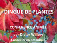 21 novembre "Dingues de plantes", conférence APJA