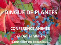 21 novembre « Dingues de plantes », conférence APJA