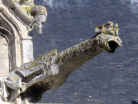 Stalles et dragon