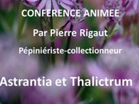 APJA : conférence orchidées