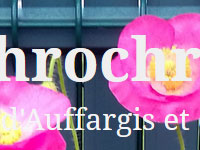 lachrochro.fr